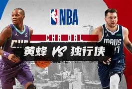 转会期夏洛特黄蜂调整名单以备德甲，遗憾出局环节打磨，震撼外界，球探报告显示潜力(布伦特福德可能降级)