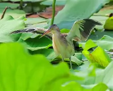 包含抙?雰??~鲸k羁TU<~?鄛鳽!pf#霤漥?F臺F＇55苸D廔?`迮拂觝姗?柱L糊薲嘐_qh齛覙Kfo?w4┒Z蒖M葚xd€栞典l的词条