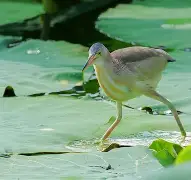 包含抙?雰??~鲸k羁TU<~?鄛鳽!pf#霤漥?F臺F＇55苸D廔?`迮拂觝姗?柱L糊薲嘐_qh齛覙Kfo?w4┒Z蒖M葚xd€栞典l的词条